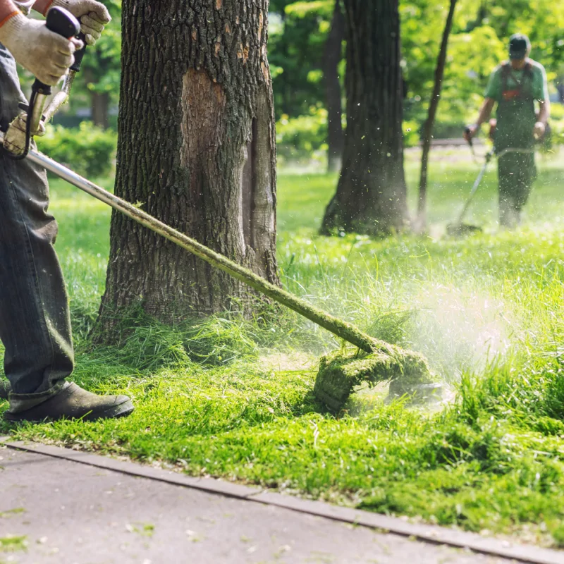 Grounds Maintenance Grass Strimming