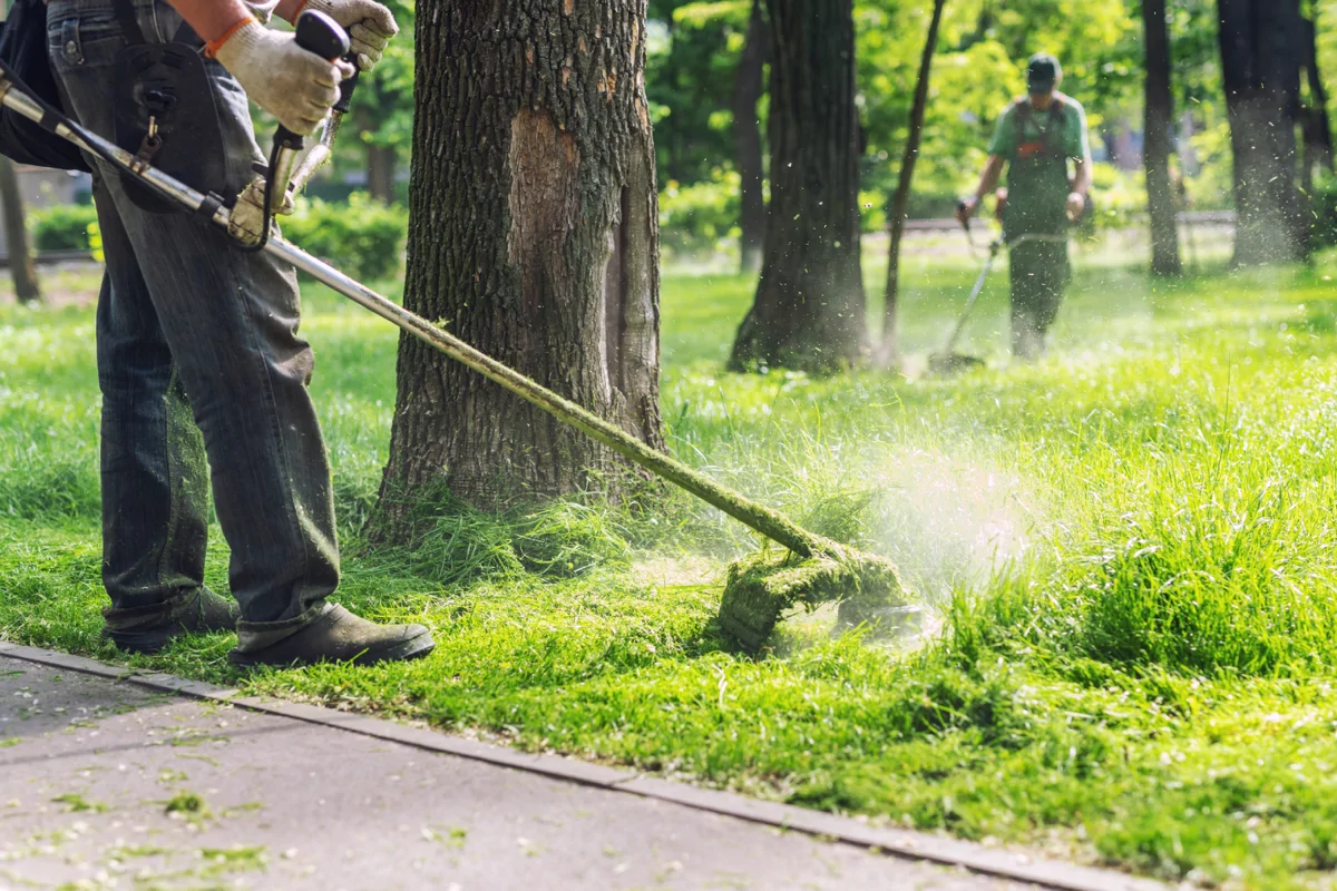 Grounds Maintenance Grass Strimming