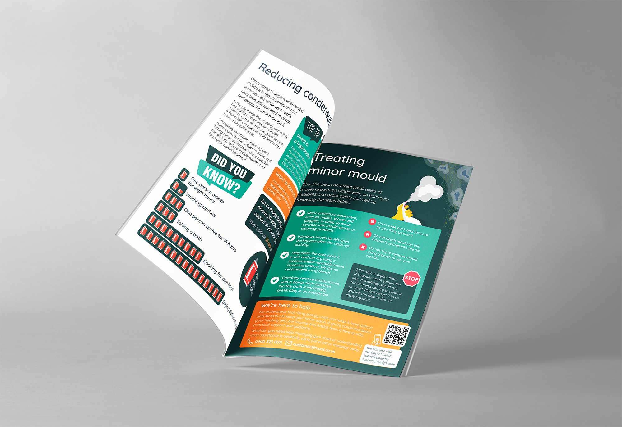 Damp And Mould Leaflet 2025 Mockup